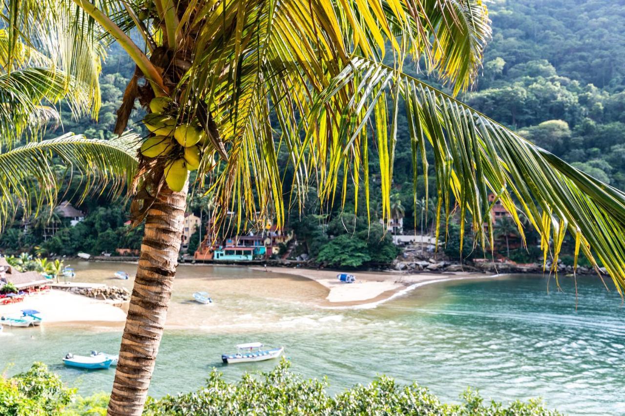 Boca De Tomatlan Luxury Boutique Hotel Accommodations 巴亞爾塔港 外观 照片