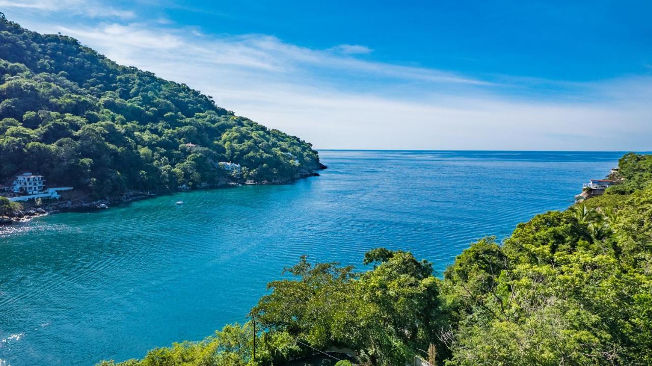 Boca De Tomatlan Luxury Boutique Hotel Accommodations 巴亞爾塔港 外观 照片